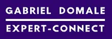 Gabriel Domale Consulting